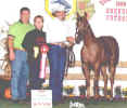 Reserve Champion Amateur Filly MQHBF