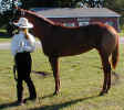 Maid A Touchdown & Katey Showing August 2002